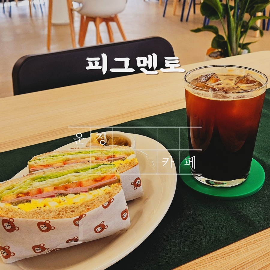 피그멘토 이미지