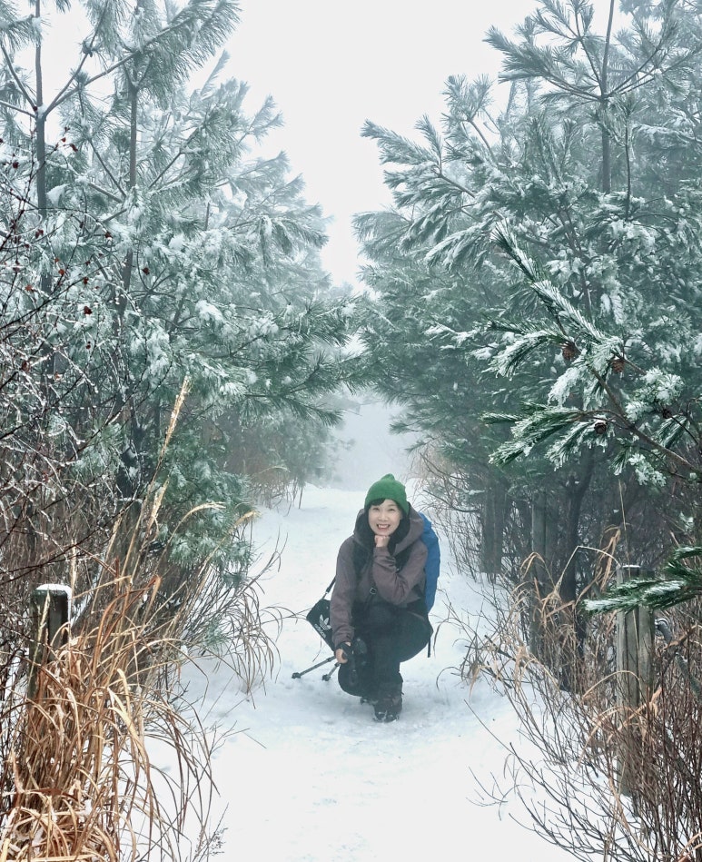 유정다방 이미지