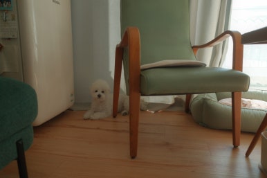 카페응급실 이미지