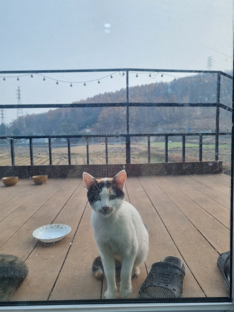 푸른솔과일 이미지
