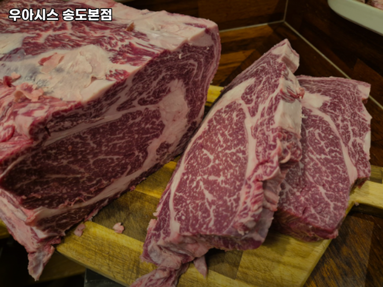 우아시스 이미지