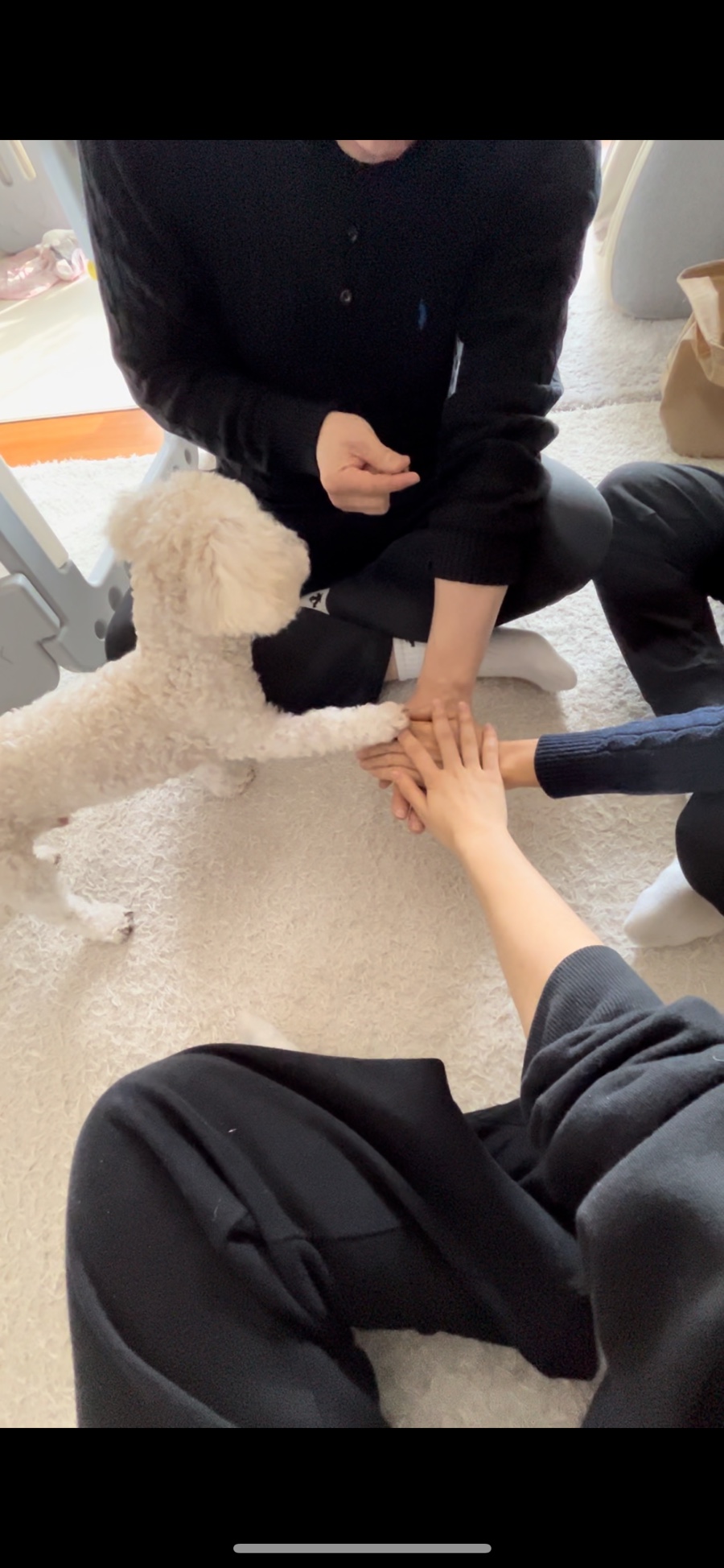 리모다 이미지