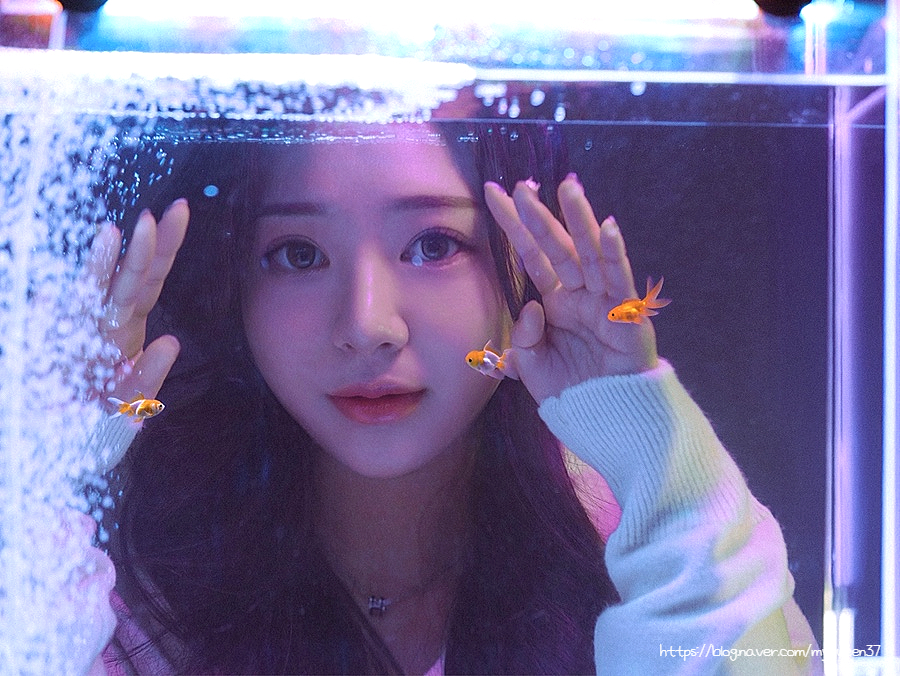 물들이다사진관 이미지