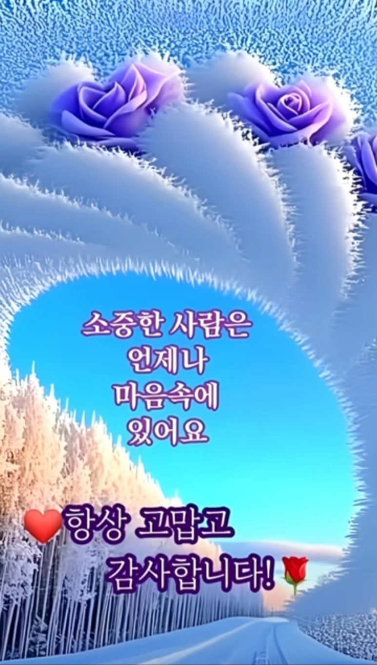 수지상사 이미지
