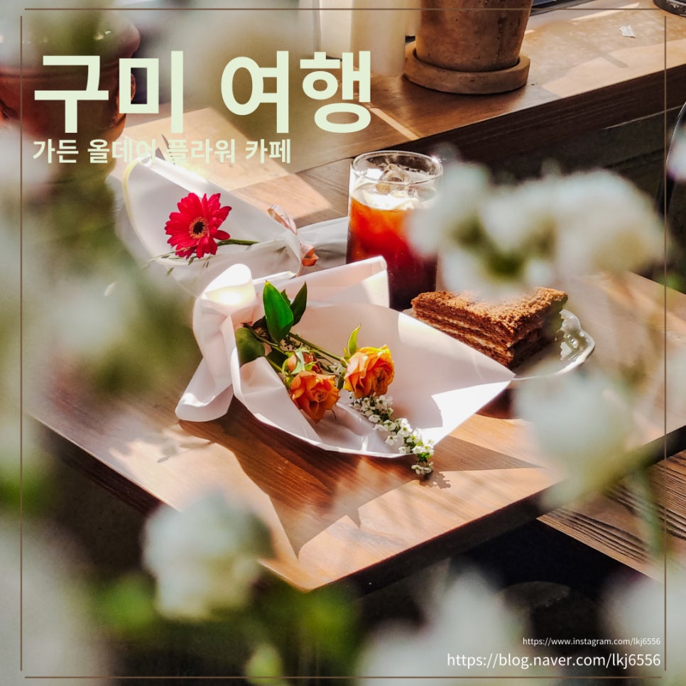 가든올데이 이미지
