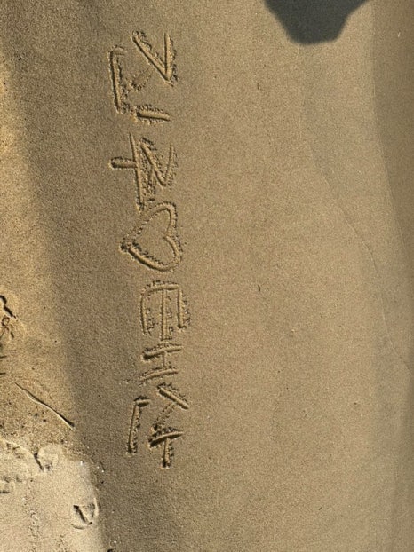 불새닭발 이미지