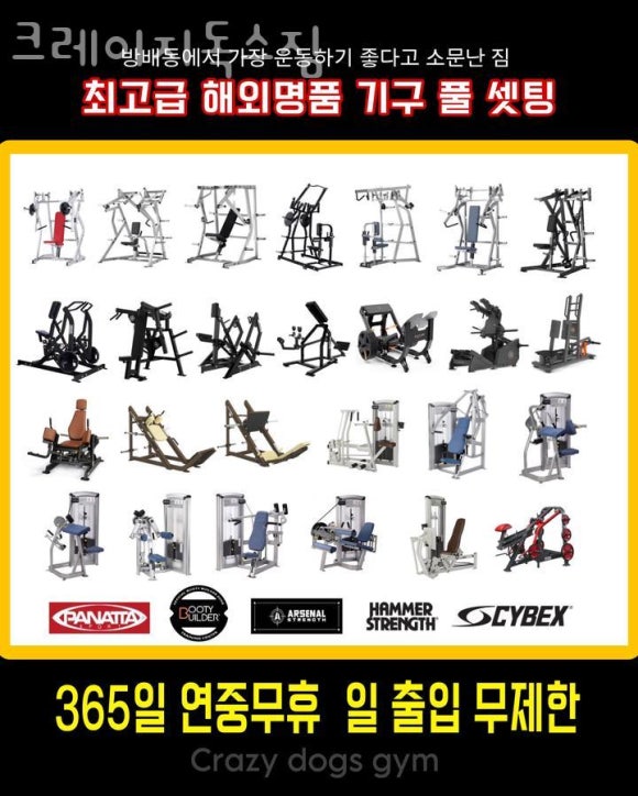 크레이지독스짐 이미지