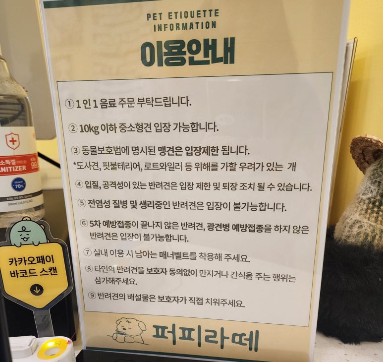 퍼피라떼 이미지