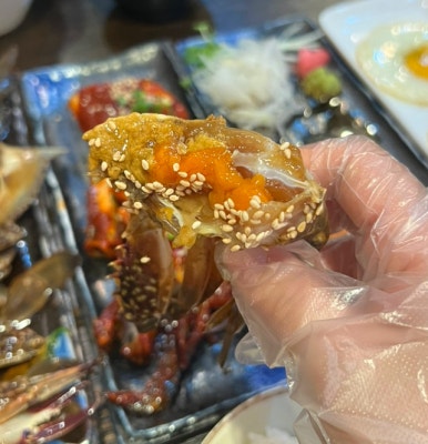 게새장터 이미지