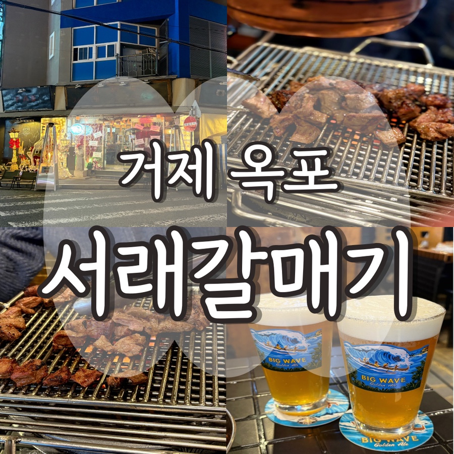 옥포갈매기 이미지