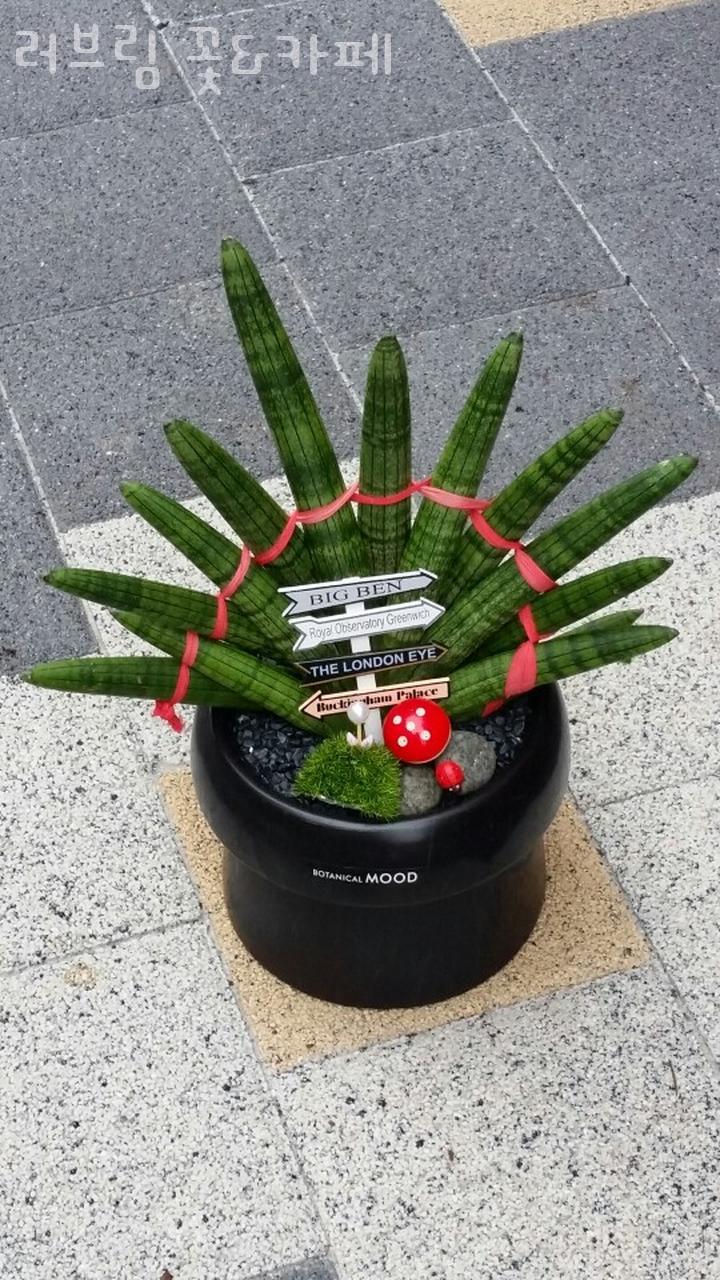 러브림꽃&카페 이미지