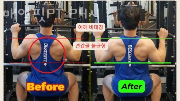 매일핏 이미지