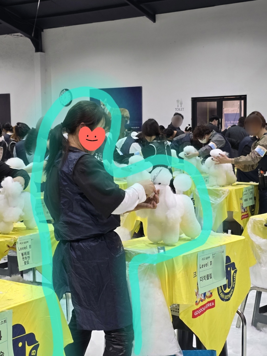 벨라루시애견미용학원 이미지