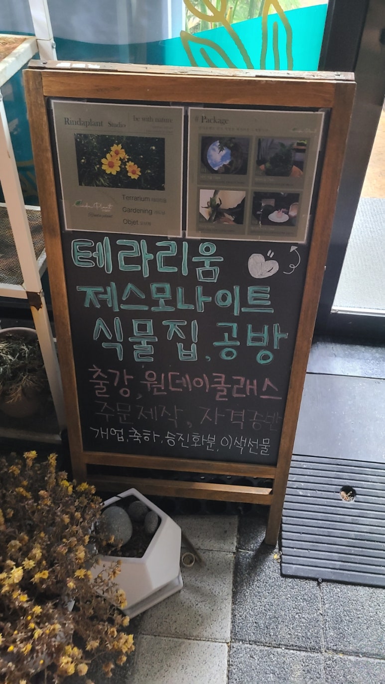 린다플랜트 이미지
