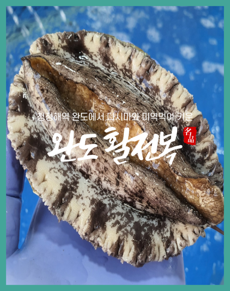 싱싱씨푸드 이미지
