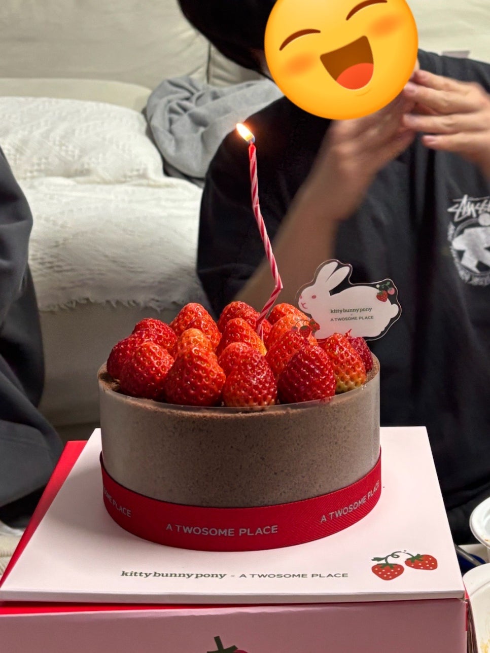 쌍둥이 숯불두마리치킨 화명점 이미지