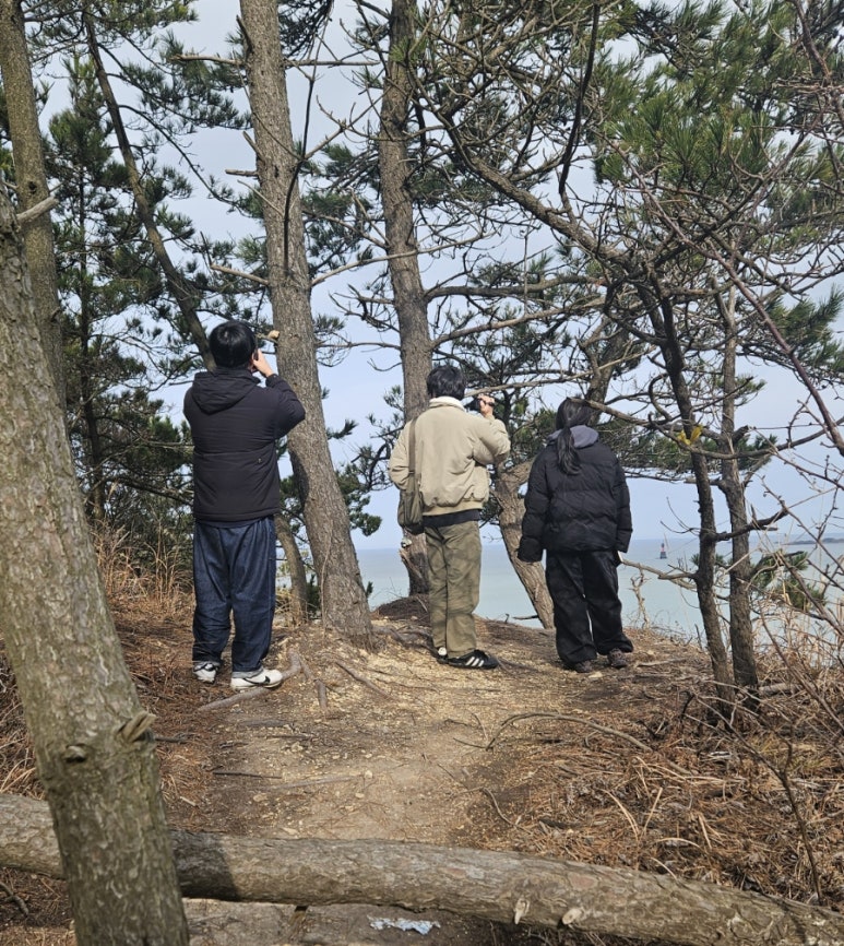 시고르청춘 이미지