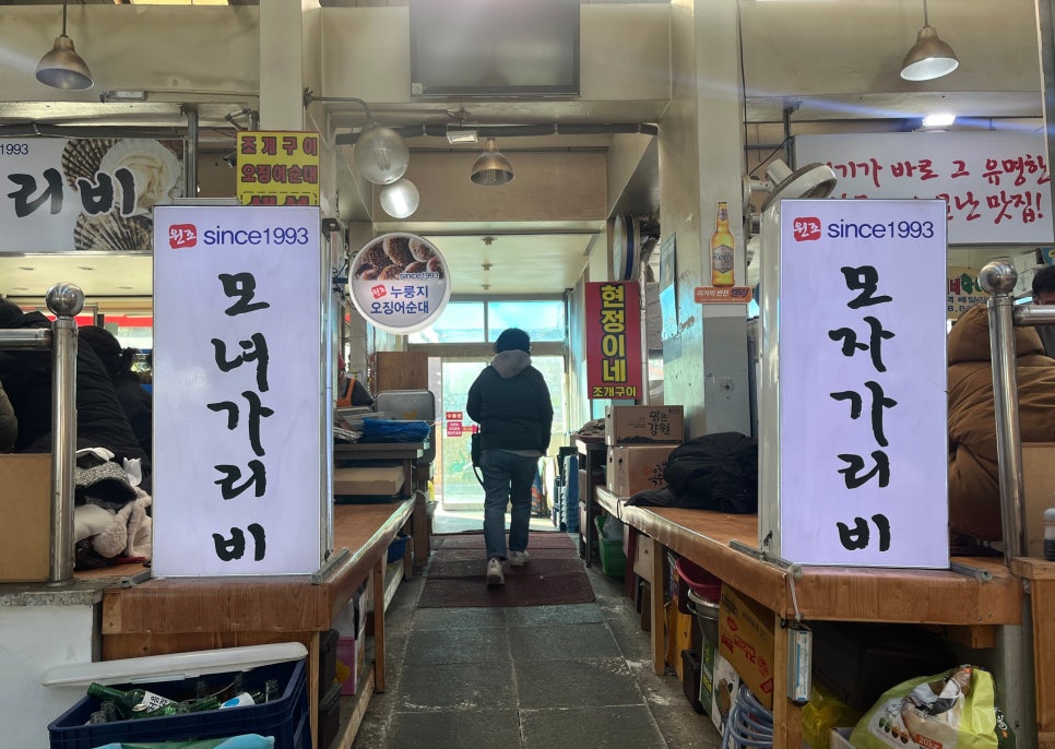 모자가리비 이미지