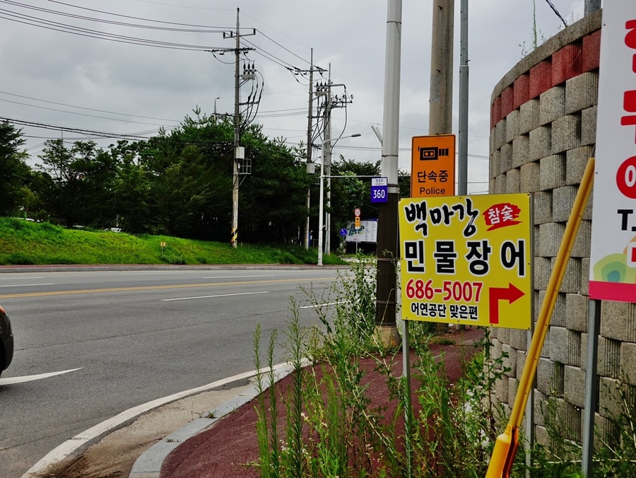 싱싱장어 이미지