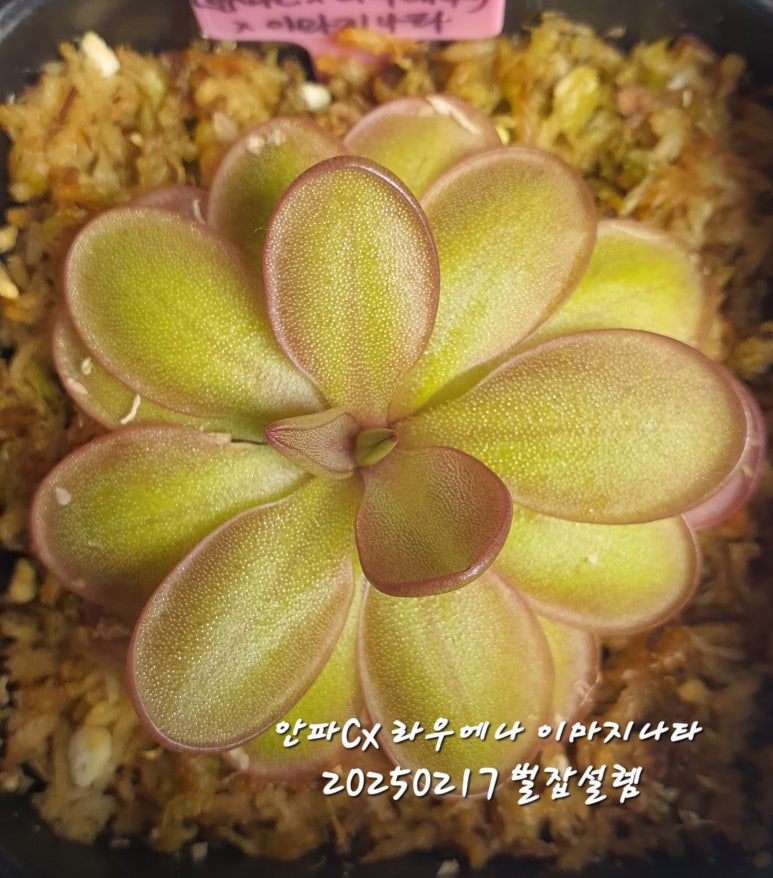 이랑가드닝 이미지