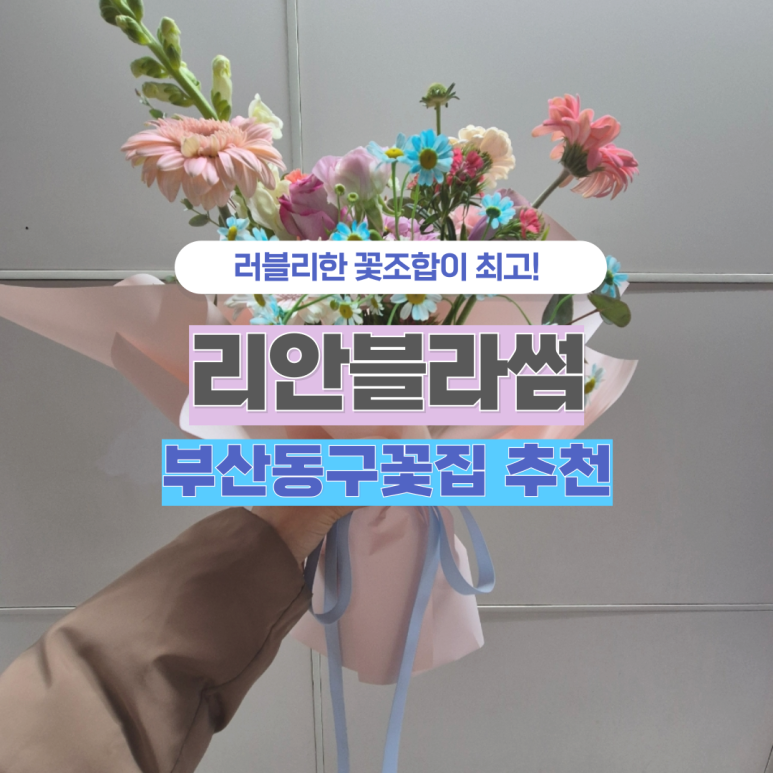 리안블라썸 이미지