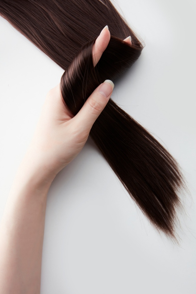 이누카 이미지