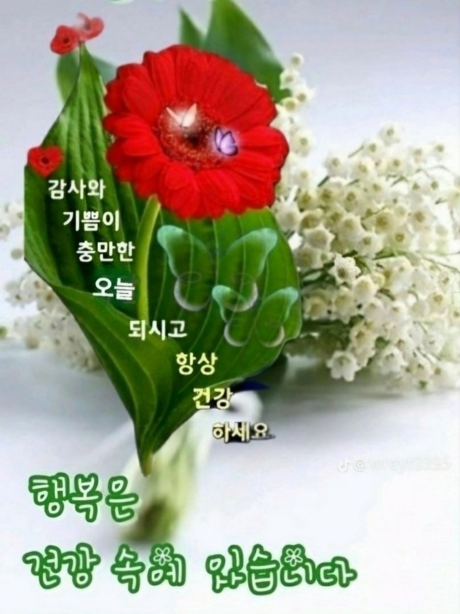 낭만포차한식점심부페 이미지