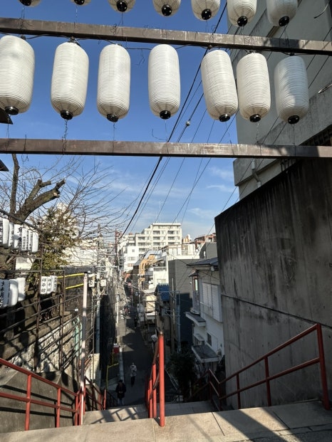 미스터신사 이미지
