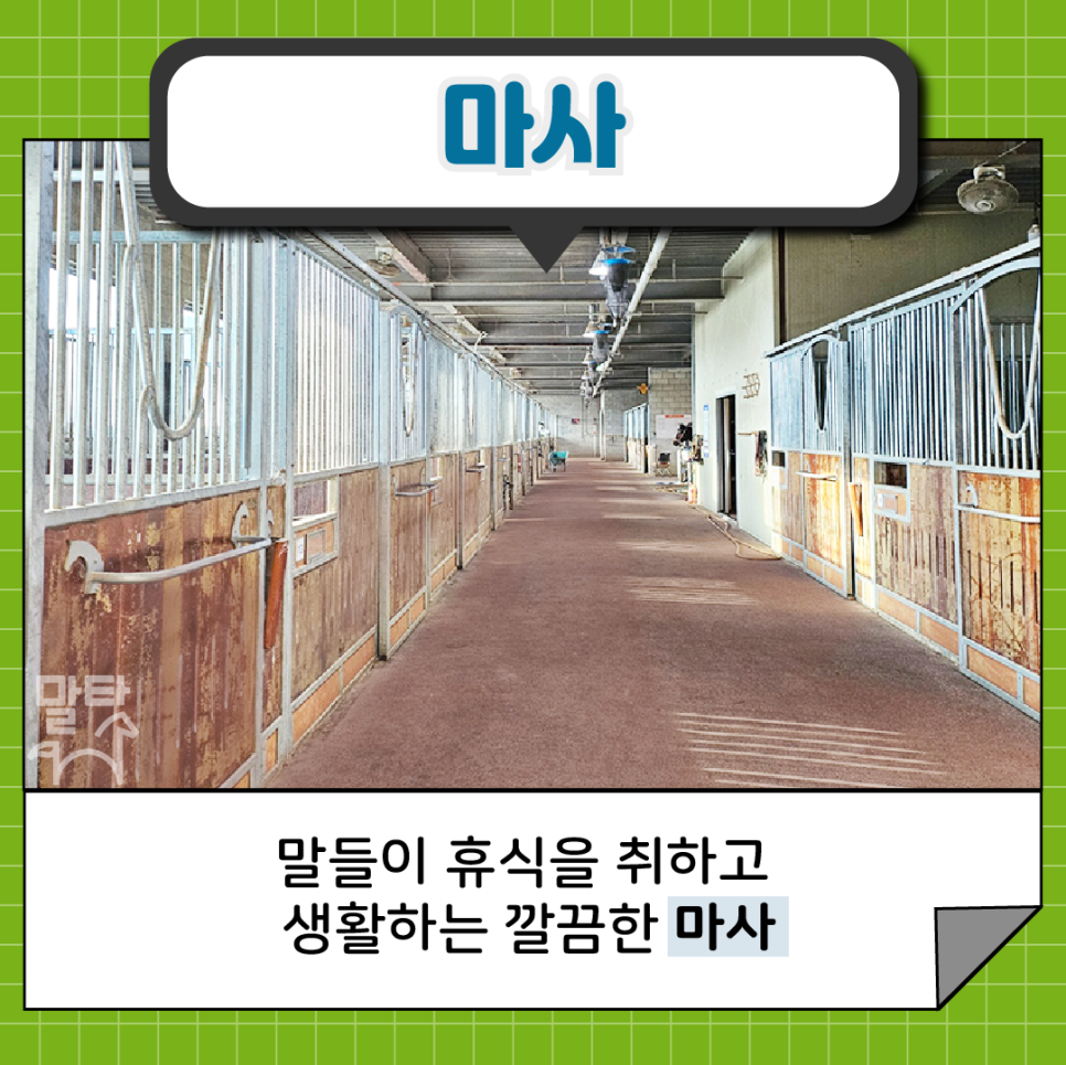 순창군공공승마공원 이미지