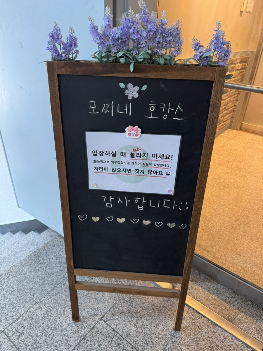 성남 수진역 애견카페 모찌네호캉스 호텔 후기 — 사진 6