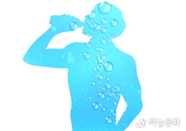 아이디얼바디 이미지