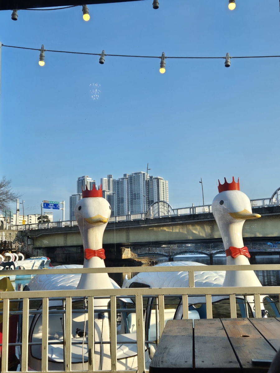 이디오피아보트장 이미지