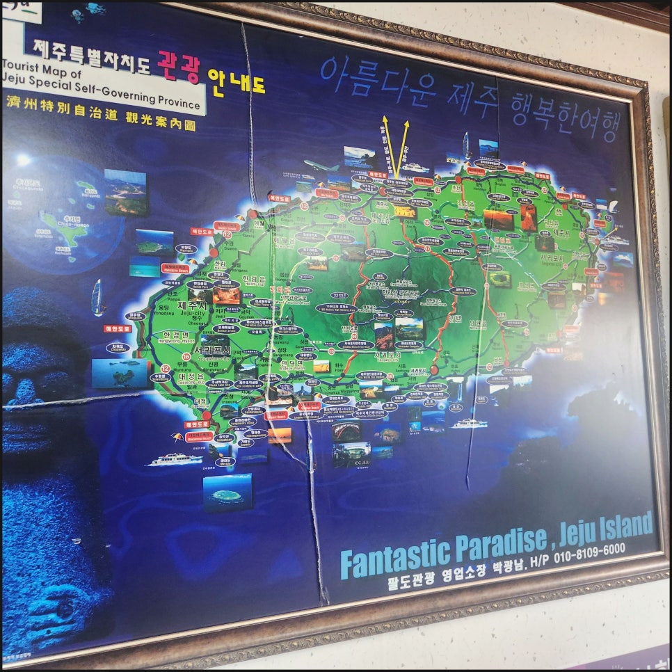팔도관광여행사 이미지