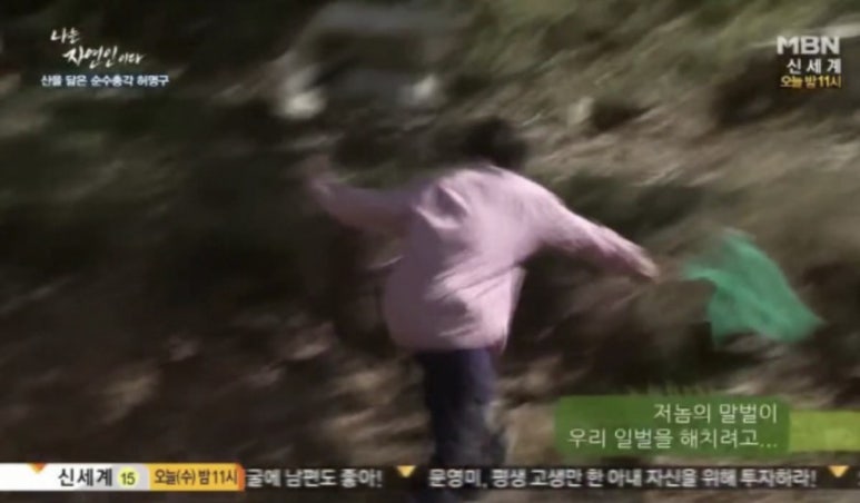 슬로우캘리양재포이점 이미지