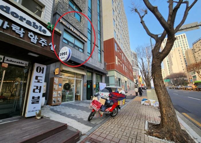 비다펠리즈 이미지