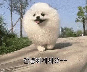 설레인 이미지