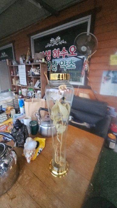 산삼약초전시장 이미지