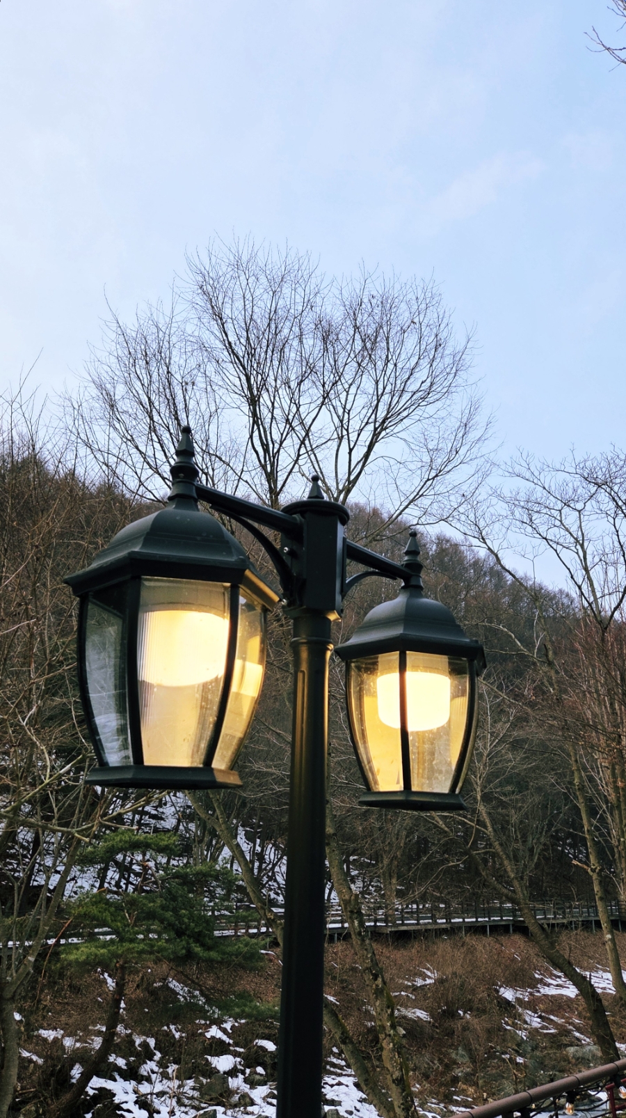 로뎅853-1 이미지