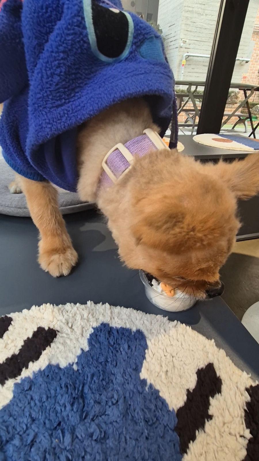 요커광교숲속 이미지