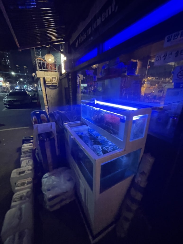 뽀조개 이미지