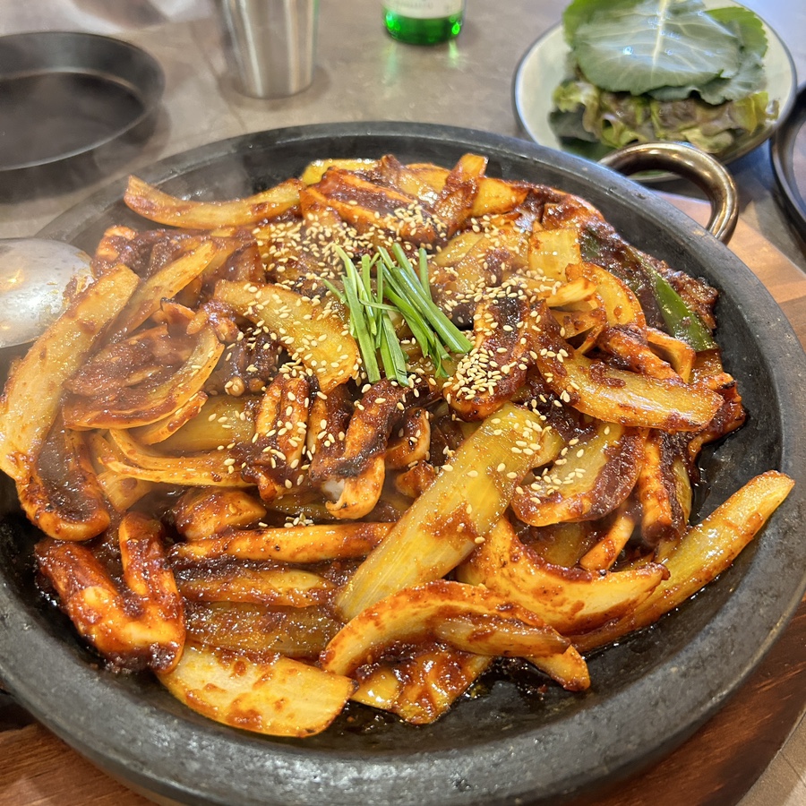 오징어 와 친구들 이미지