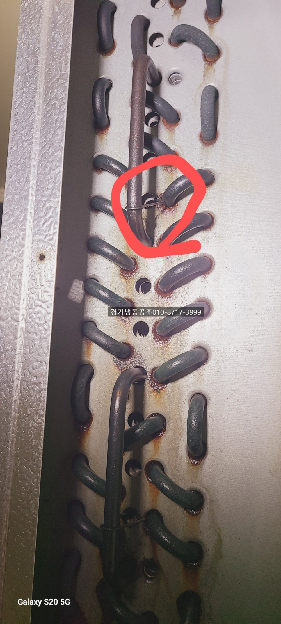 여주경기냉동 이미지
