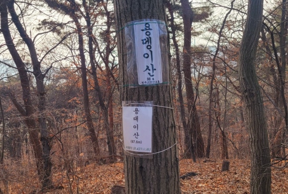 용대 이미지