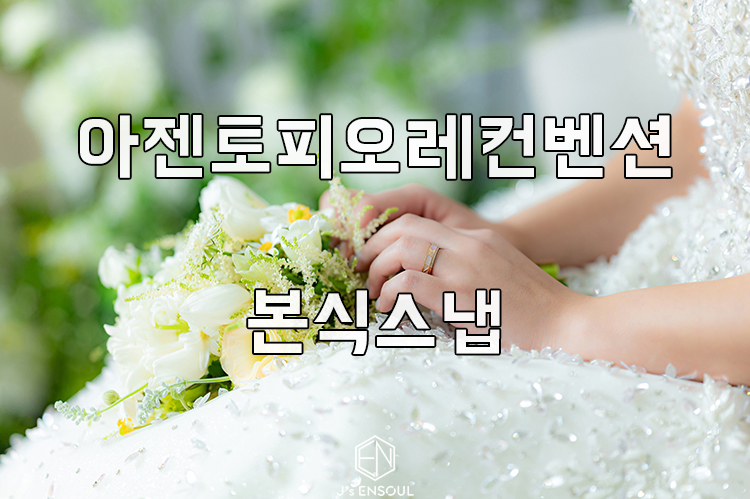 아젠토피오레컨벤션 이미지