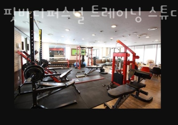 바디핏퍼스널 이미지