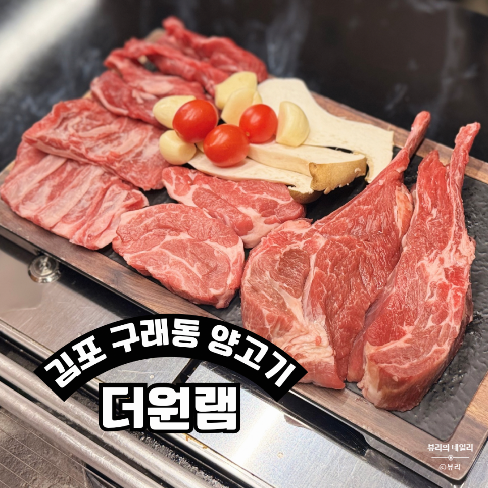 더원 램 이미지