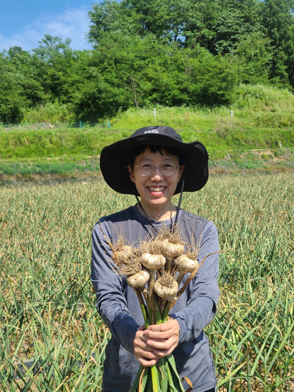 로와로운 이미지