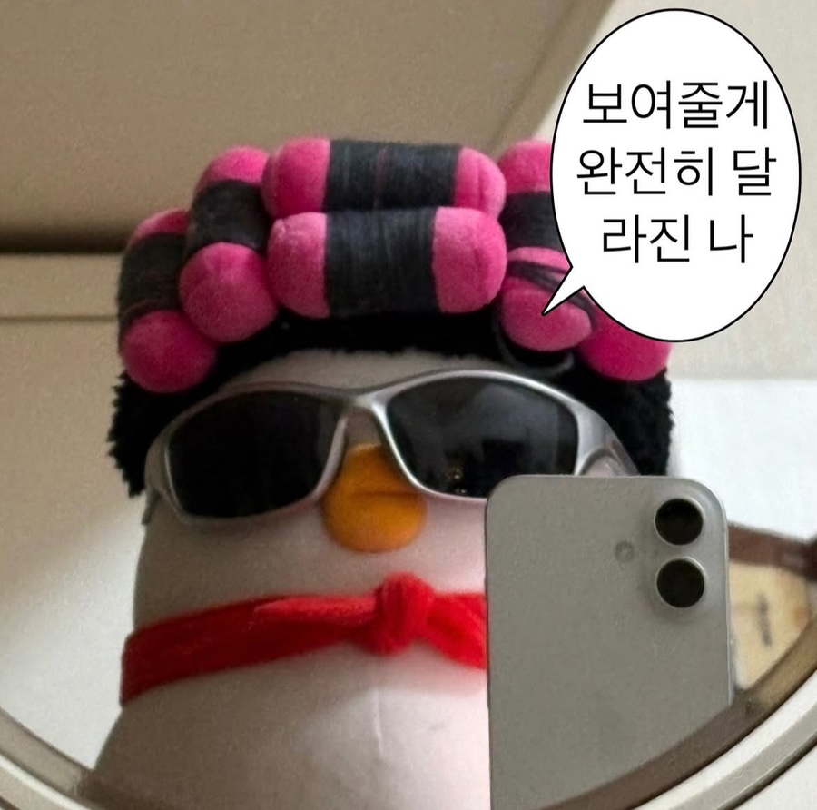 딱스 이미지