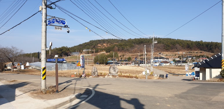 세운세무법인 이미지