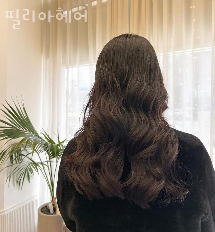 필리아 헤어 이미지